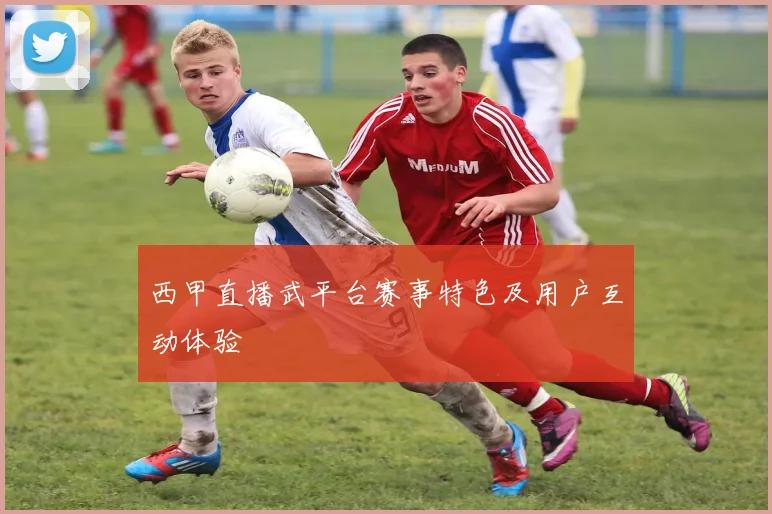 西甲直播武平台赛事特色及用户互动体验