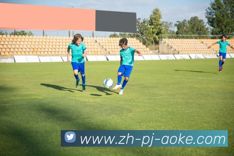 澳客足彩平台生态图