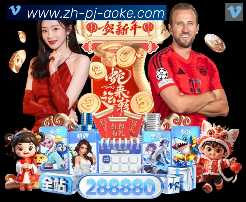 未来规划