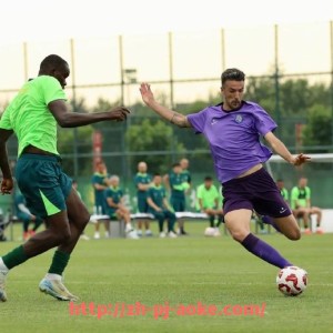 澳客足彩-法甲比赛回顾：2024赛季各轮焦点赛事全盘解析